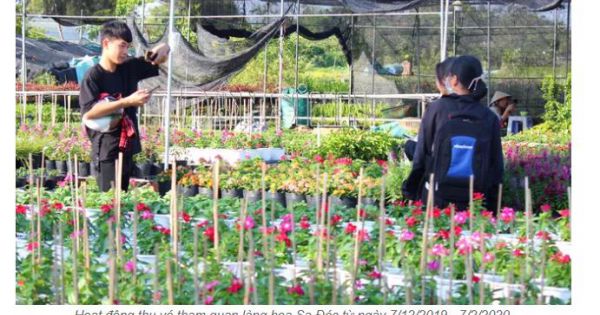 Đồng Tháp: Sẽ thu phí khách tham quan làng hoa và công viên Sa Đéc trong dịp lễ, Tết