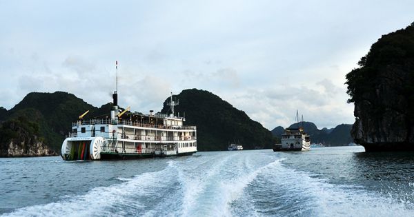 Cảng vụ hàng hải Quảng Ninh siết chặt quản lý tàu du lịch khu vực Hòn Gai