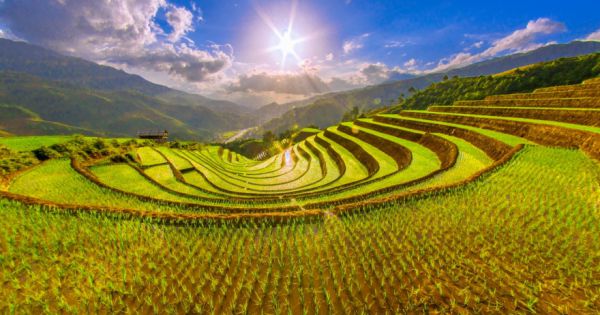 Ruộng bậc thang Mù Cang Chải, tỉnh Yên Bái được công nhận là Di tích quốc gia đặc biệt