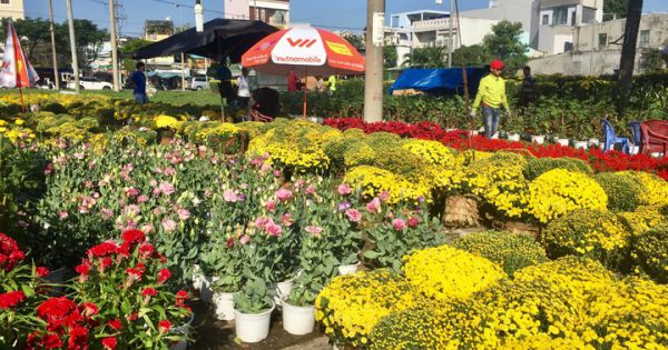 Đà Nẵng: Chợ hoa Tết Canh Tý phải kết thúc trước 19h tối giao thừa