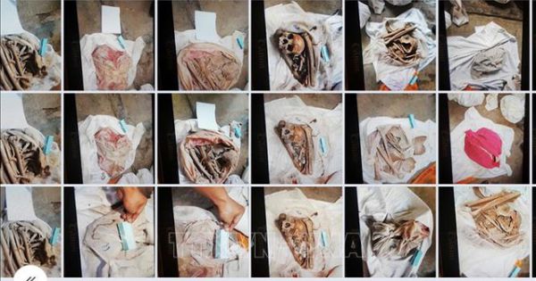 Công an Tây Ninh phát hiện vụ cất giấu 9 bộ xương cốt người để bán