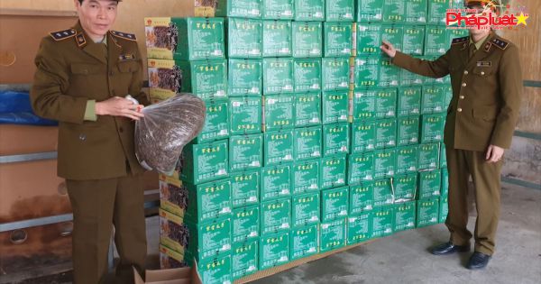 Cục QLTT Lạng Sơn tạm giữ 400 kg hạt hướng dương do Trung Quốc sản xuất không có hóa đơn chứng từ