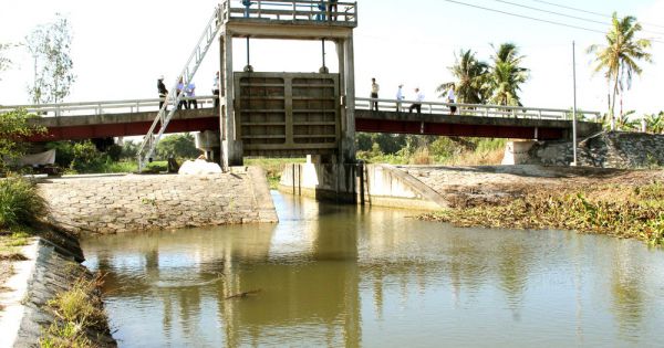 Khẩn trương xử lý sự cố nước mặn xâm nhập nội đồng ở Cà Mau