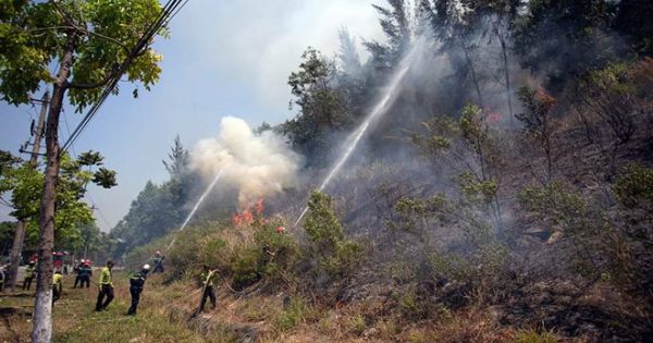 Cháy rừng tràm tỏa khói mù mịt ở Mũi Né