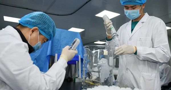 Việt Nam nuôi cấy và phân lập thành công virus corona mới (nCoV)