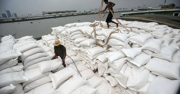 Thái Lan có nguy cơ mất vị trí thứ hai thế giới trong xuất khẩu gạo