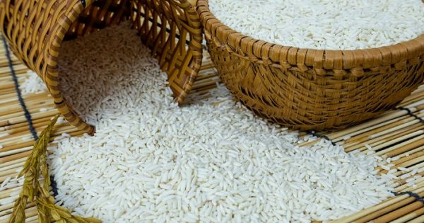 Đa dạng thị trường xuất khẩu gạo