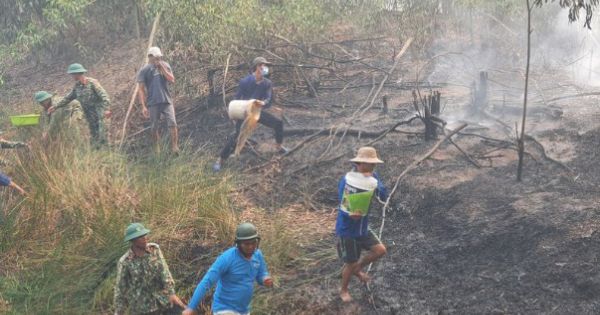 Cháy hơn 50 ha rừng tràm ở Kiên Giang