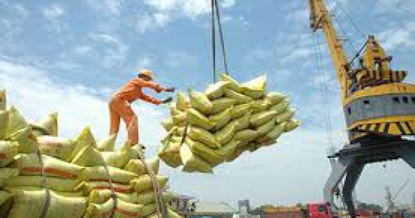 Gạo Việt có nhiều cơ hội thúc đẩy xuất khẩu vào Senegal