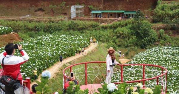 Rà soát lại quy hoạch du lịch nông nghiệp ở Đà Lạt