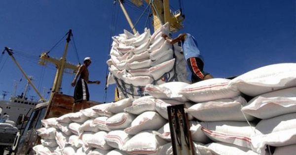 Bộ Tài chính đề nghị dừng xuất khẩu gạo tẻ để mua dự trữ