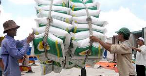 Vụ mở tờ khai xuất khẩu gạo nửa đêm: Chính phủ yêu cầu 2 bộ báo cáo