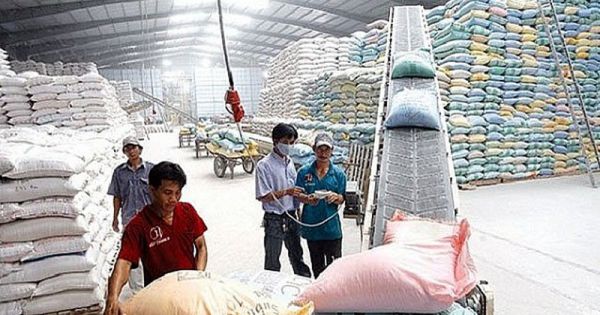 Tiếp tục đấu thầu mua 182.300 tấn gạo dự trữ quốc gia năm 2020