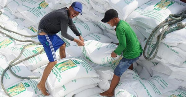 Đề nghị công an điều tra thông tin tiêu cực trong việc xuất khẩu gạo