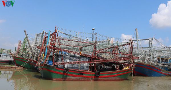 Tắc đầu ra ngành thủy sản do “bão” dịch, ngư dân lao đao