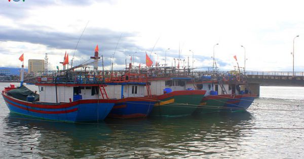 Bình Định hoàn thành lắp thiết bị giám sát hành trình tàu cá trước 30/4