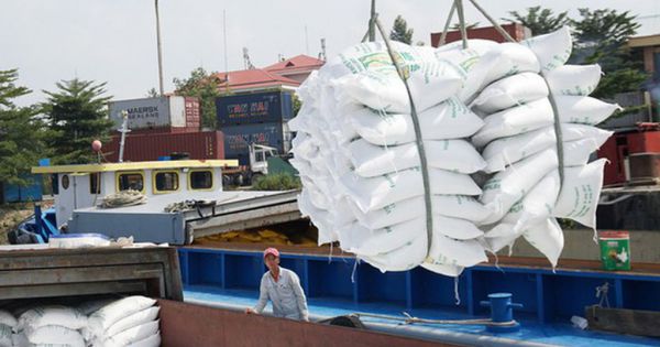 Xuất khẩu gạo: Phát hiện hàng loạt tờ khai không có giá trị