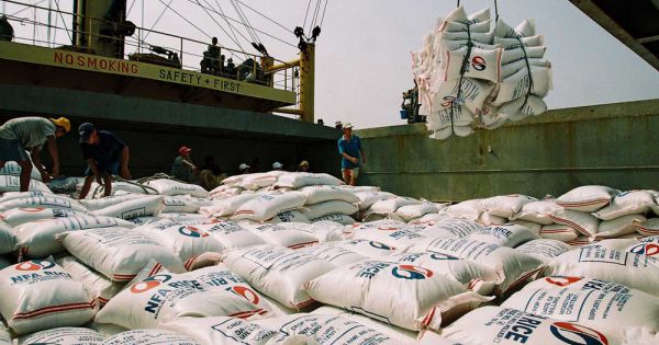 Xuất khẩu gạo sang Trung Quốc tiếp tục tăng mạnh