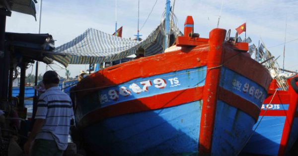 Quảng Ngãi: Hơn 1.100 tàu cá dài từ 15m được cấp giấy chứng nhận đủ điều kiện an toàn vệ sinh thực phẩm