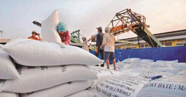 Nhiều Cục dự trữ Nhà nước cho doanh nghiệp gửi gạo không hợp đồng
