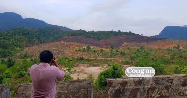 Khẩn trương hoàn chỉnh hồ sơ khởi tố vụ cháy rừng ở Đông Giang