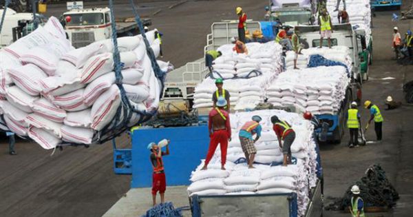 Philippines chào mua 300.000 tấn gạo từ Việt Nam, Thái Lan
