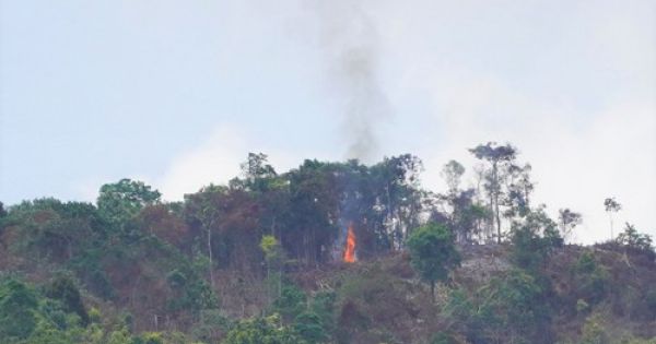 Bình Thuận: Đốt phá cây tự nhiên trên núi