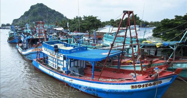 Khắc phục “thẻ vàng” IUU: Ninh Thuận kiểm soát chặt hoạt động tàu cá
