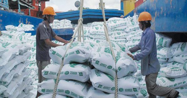 Việt Nam có thể 'soán ngôi vương' xuất khẩu gạo của Thái Lan