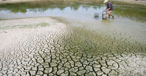 WB phê duyệt khoản vay 84,4 triệu USD giúp Việt Nam ứng phó với biến đổi khí hậu