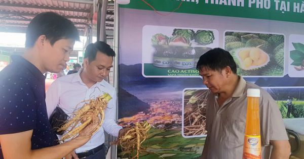 Bất chấp COVID-19, nông sản Việt xuất siêu gần 3,3 tỷ USD