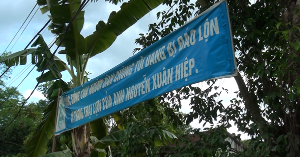 Chết khổ vì trại heo ô nhiễm tại Hương Khê – Hà Tĩnh