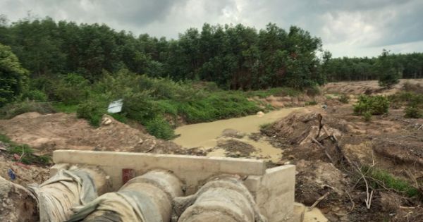 Suối Đá bị 'bức tử' gây thiệt hại hàng chục tỉ đồng cho nông dân