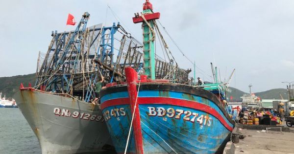 Hỗ trợ 70,59 tỷ đồng cho tàu cá đánh bắt xa bờ tại Bình Định