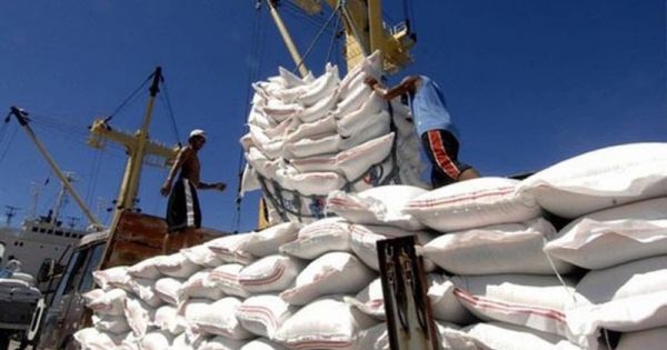 Xuất khẩu gạo được giá, kim ngạch đạt 2,2 tỷ USD