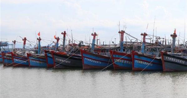 Các tàu cá tại Quảng Nam di chuyển ra khỏi vùng ảnh hưởng của bão số 5