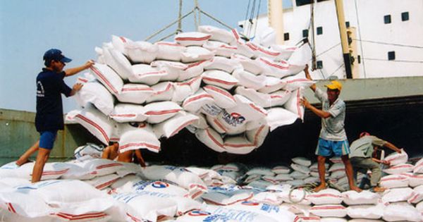 Xuất khẩu gạo sang nhiều thị trường EU tăng mạnh