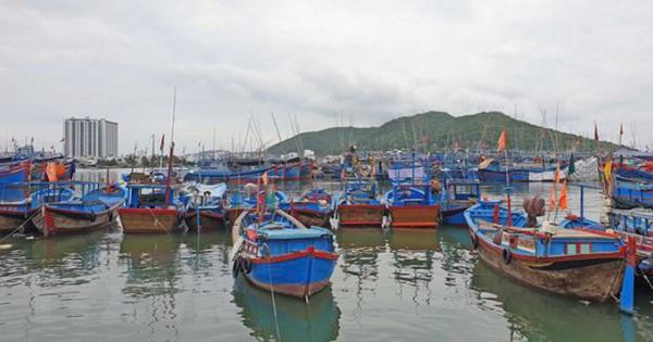 Tỉnh Kiên Giang chính thức mở 2 Cảng cá Tắc Cậu và An Thới
