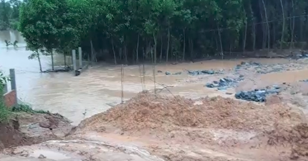Đập thủy lợi sức chứa 800 ngàn m3 nước ở Quảng Nam bị vỡ