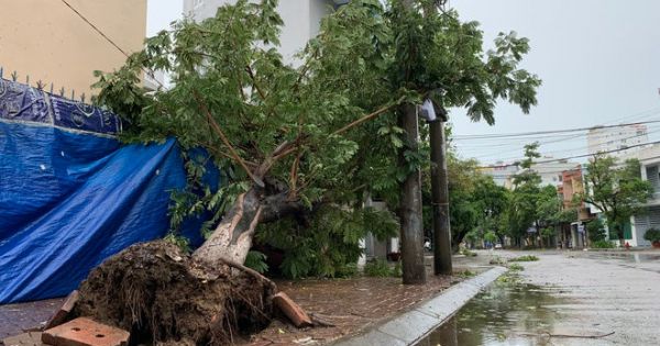 Quảng Ngãi đã có những thiệt hại ban đầu do bão số 9 gây ra