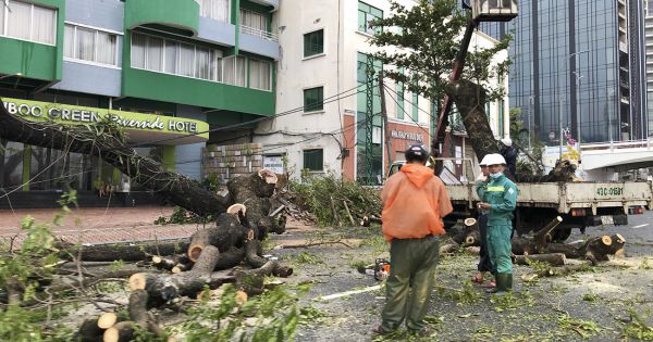Đà Nẵng: Thu dọn và khắc phục sự cố sau bão số 9