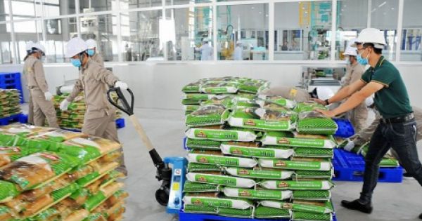 10 tháng, Việt Nam đã xuất khẩu gần 5,4 triệu tấn gạo
