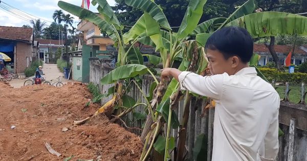 Bình Định: Có hay không việc hoán đổi đất cho dân để làm trường tiểu học?