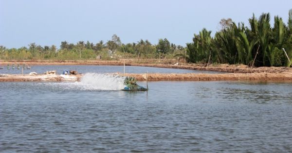 Sớm cấp kinh phí hỗ trợ để khôi phục sản xuất thủy sản tại các tỉnh miền Trung