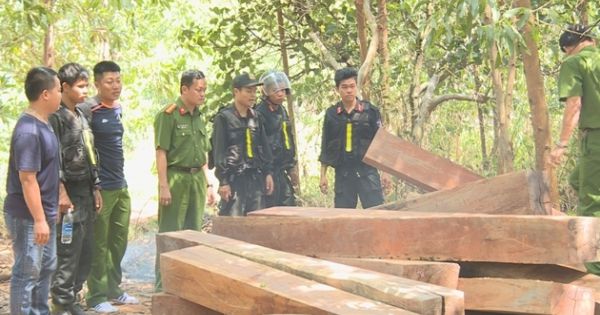 Khởi tố bắt giam nguyên Giám đốc Công ty lâm nghiệp Ea Kar tại Đắk Lắk