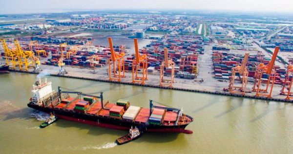 TP. HCM: Thu phí cảng biển dự kiến mang về hơn 3.200 tỷ đồng/năm