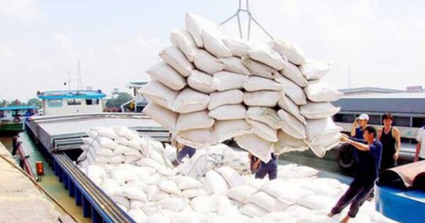Belarus và Armenia nhập khẩu 10.000 tấn gạo của Việt Nam