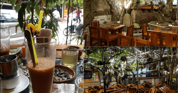 Độc đáo quán cà phê bằng gỗ trong lòng Hà Nội