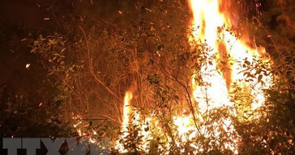 1.100 người dập đám cháy rừng trồng Sóc Sơn
