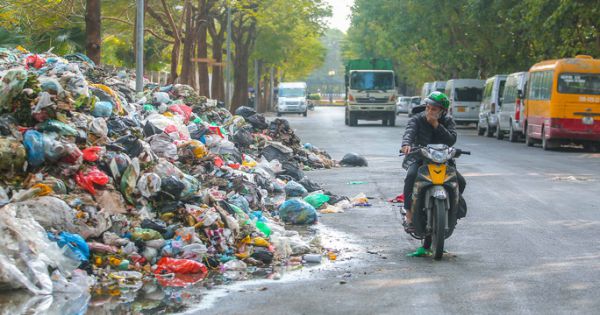 Thanh tra toàn diện công tác vệ sinh môi trường liên quan đến Công ty Minh Quân